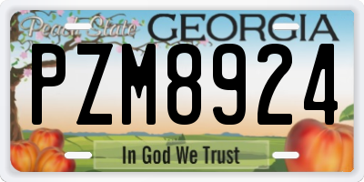 GA license plate PZM8924
