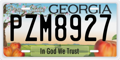 GA license plate PZM8927