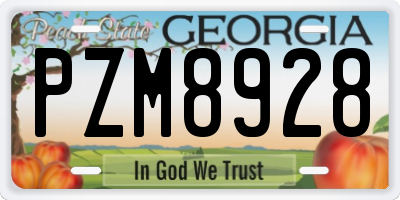 GA license plate PZM8928