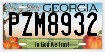 GA license plate PZM8932