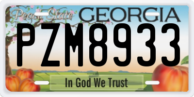 GA license plate PZM8933