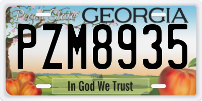 GA license plate PZM8935