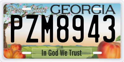 GA license plate PZM8943