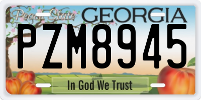 GA license plate PZM8945