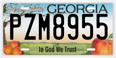 GA license plate PZM8955