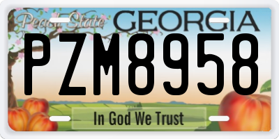 GA license plate PZM8958