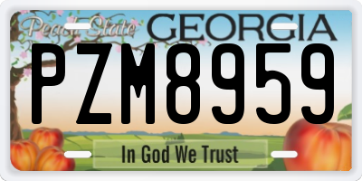 GA license plate PZM8959