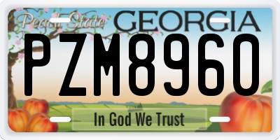 GA license plate PZM8960