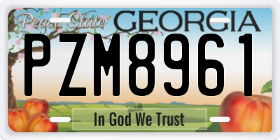 GA license plate PZM8961