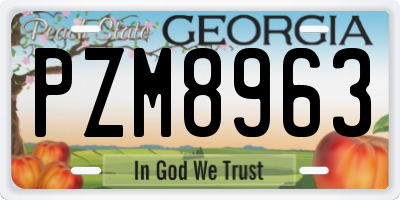 GA license plate PZM8963