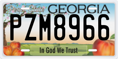 GA license plate PZM8966