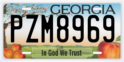 GA license plate PZM8969