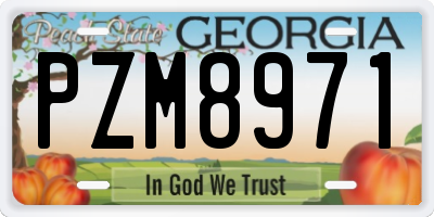 GA license plate PZM8971