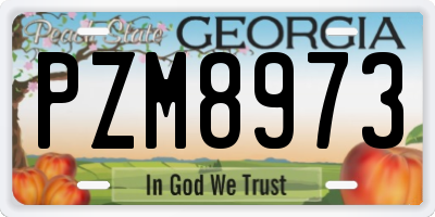GA license plate PZM8973