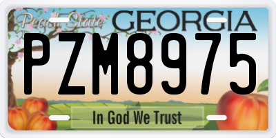GA license plate PZM8975