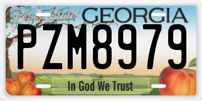 GA license plate PZM8979