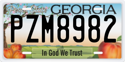 GA license plate PZM8982