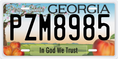 GA license plate PZM8985