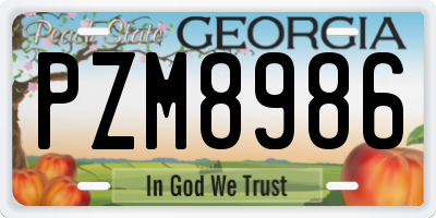 GA license plate PZM8986