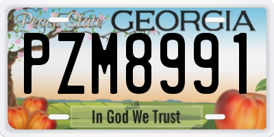 GA license plate PZM8991