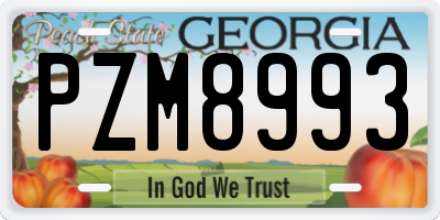 GA license plate PZM8993