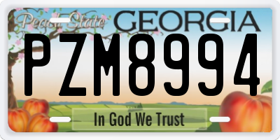 GA license plate PZM8994