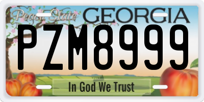 GA license plate PZM8999