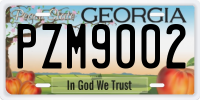 GA license plate PZM9002