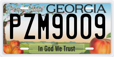 GA license plate PZM9009
