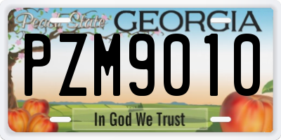 GA license plate PZM9010