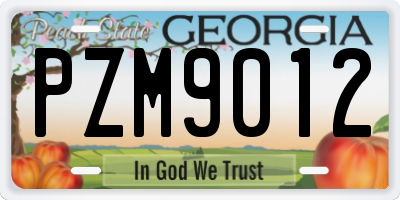 GA license plate PZM9012