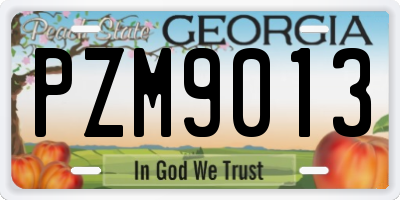 GA license plate PZM9013