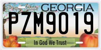 GA license plate PZM9019