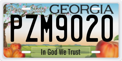 GA license plate PZM9020