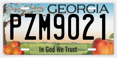 GA license plate PZM9021