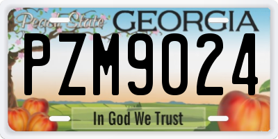 GA license plate PZM9024