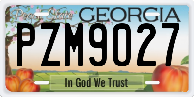GA license plate PZM9027