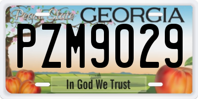 GA license plate PZM9029