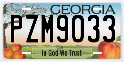 GA license plate PZM9033