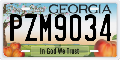 GA license plate PZM9034