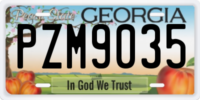 GA license plate PZM9035