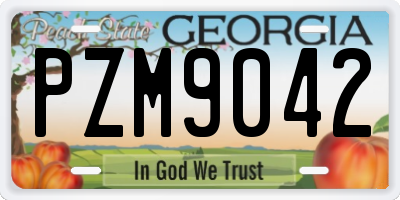 GA license plate PZM9042