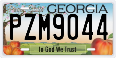 GA license plate PZM9044