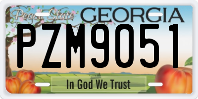 GA license plate PZM9051