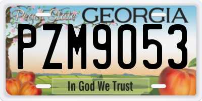 GA license plate PZM9053