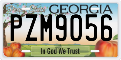 GA license plate PZM9056