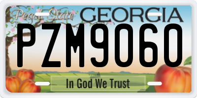 GA license plate PZM9060
