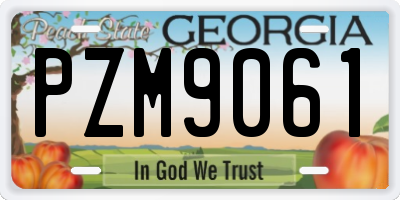 GA license plate PZM9061
