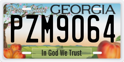 GA license plate PZM9064