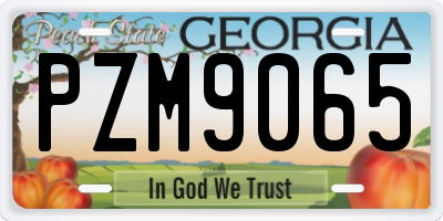 GA license plate PZM9065